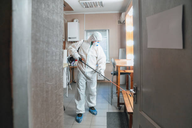 Best Mold Removal for HVAC Installations  in Burnet, TX