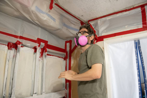 Best Comprehensive Air Testing for Mold Contaminants  in Burnet, TX