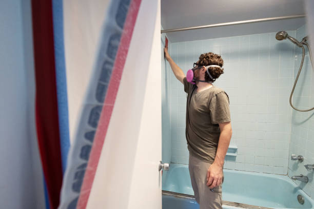 Professional Mold Removal in Burnet, TX