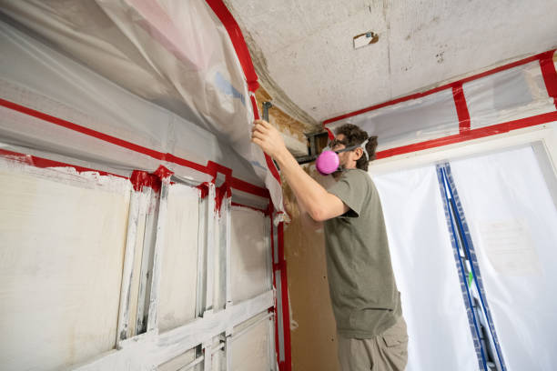 Best Mold-Related Health Consultation  in Burnet, TX