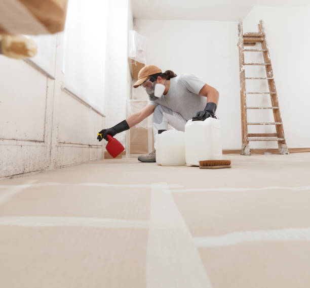 Best Indoor Air Quality Assessment  in Burnet, TX