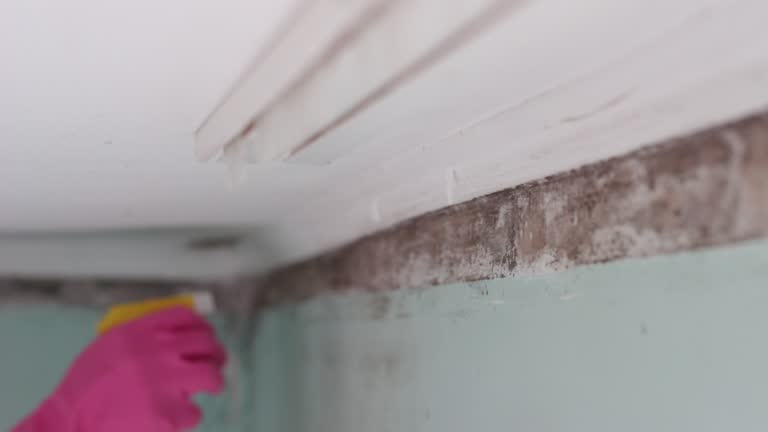 Mold Removal for HVAC Installations in Burnet, TX